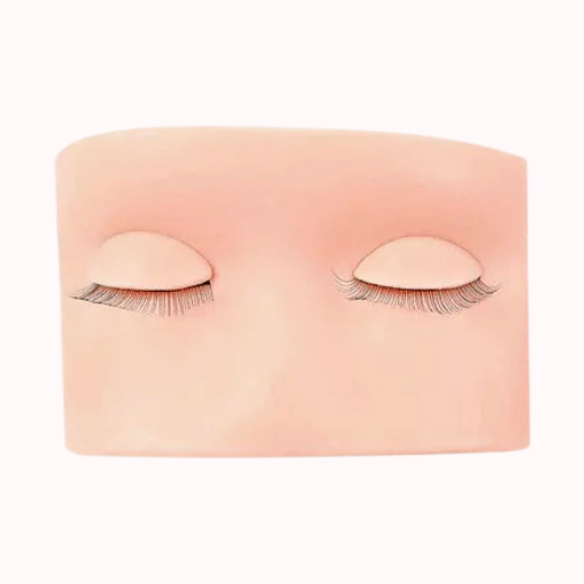 Practice Mannequin Head